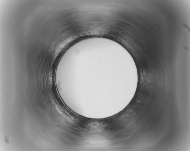 X0000100900632200807011221