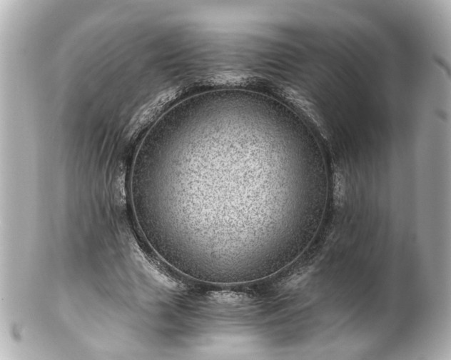 X0000100900633200807011221