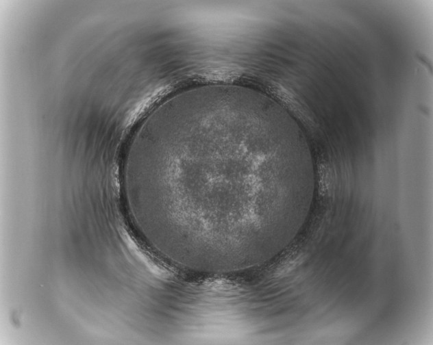 X0000100900634200807011221