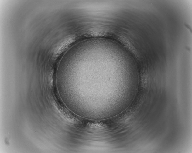 X0000100900635200807011221