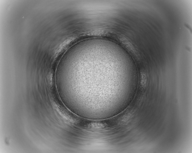 X0000100900636200807011221