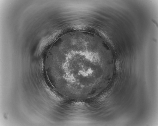 X0000100900637200807011221