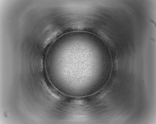 X0000100900638200807011221