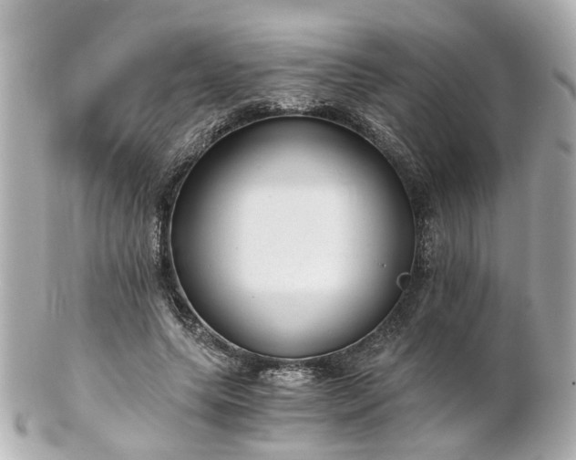 X0000100900639200807011221