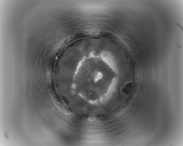 X0000100900641200807011221