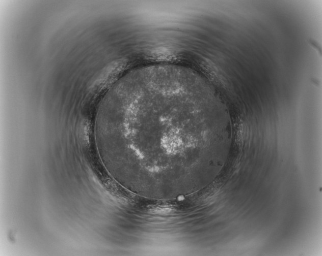 X0000100900643200807011221