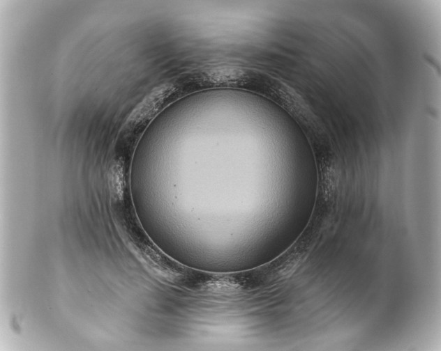 X0000100900644200807011221