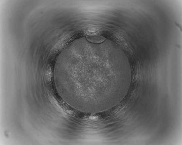 X0000100900647200807011221