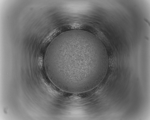 X0000100900648200807011221