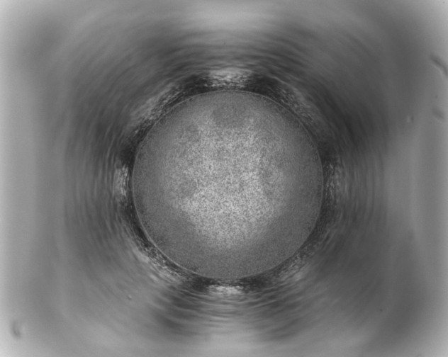 X0000100900649200807011221