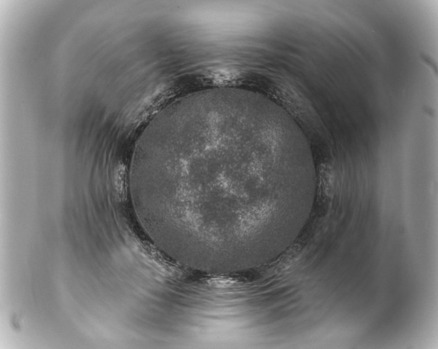 X0000100900650200807011221