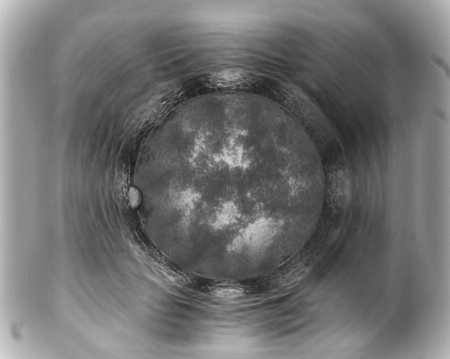 X0000100900653200807011221