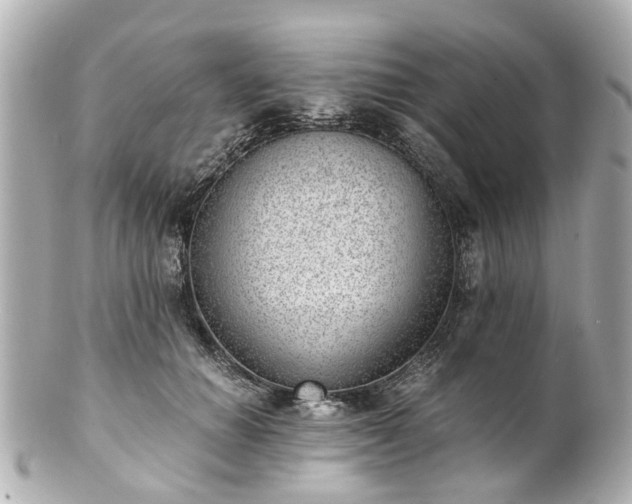 X0000100900654200807011221