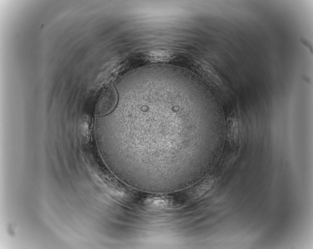 X0000100900655200807011221