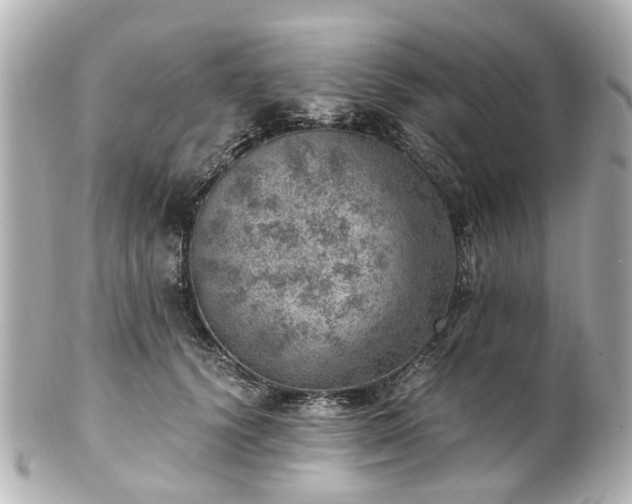 X0000100900656200807011221