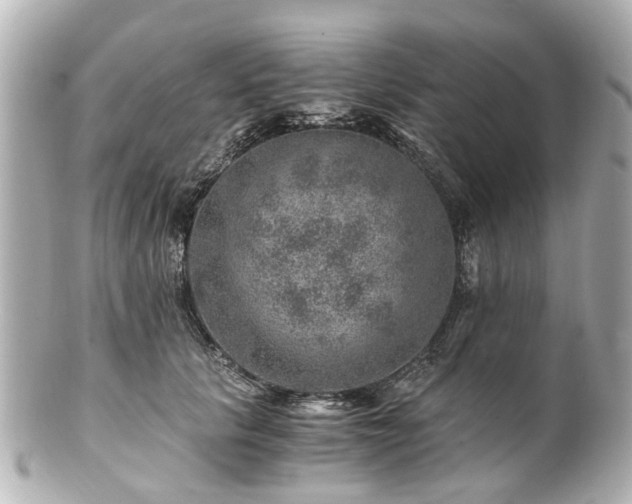 X0000100900657200807011221