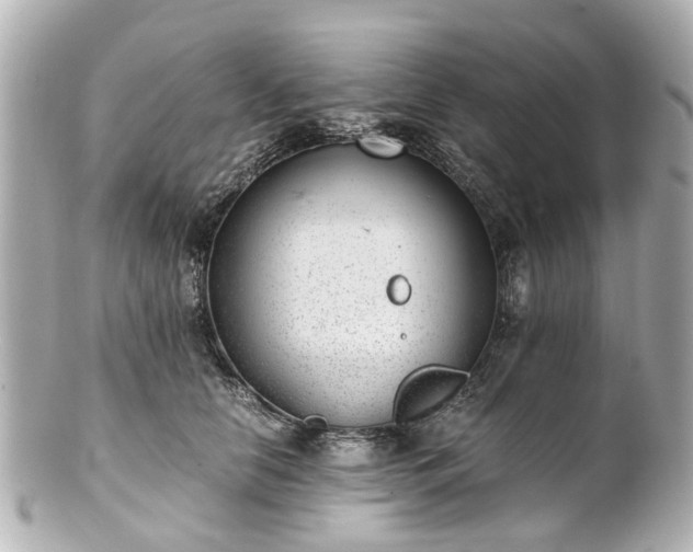 X0000100900658200807011221