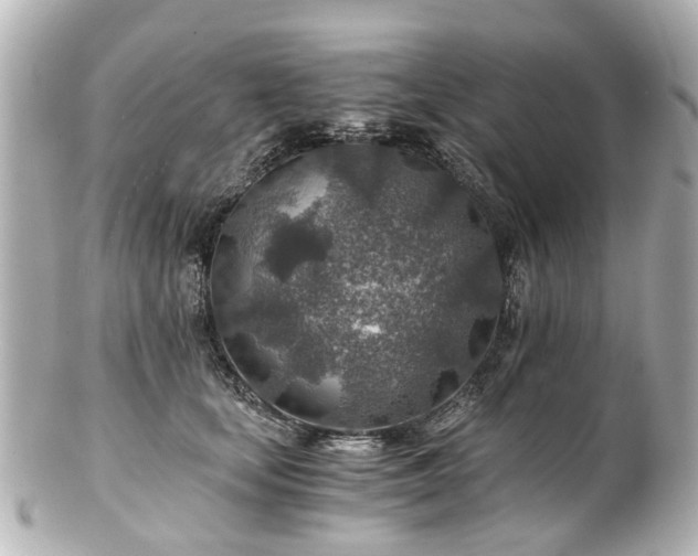 X0000100900659200807011221