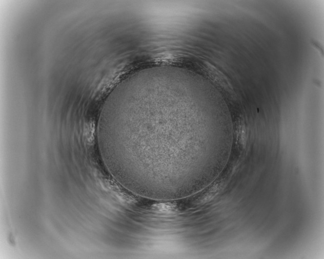 X0000100900660200807011221