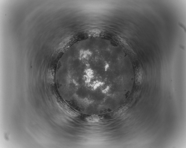 X0000100900661200807011222