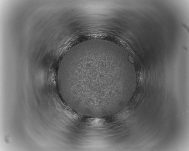 X0000100900663200807011222