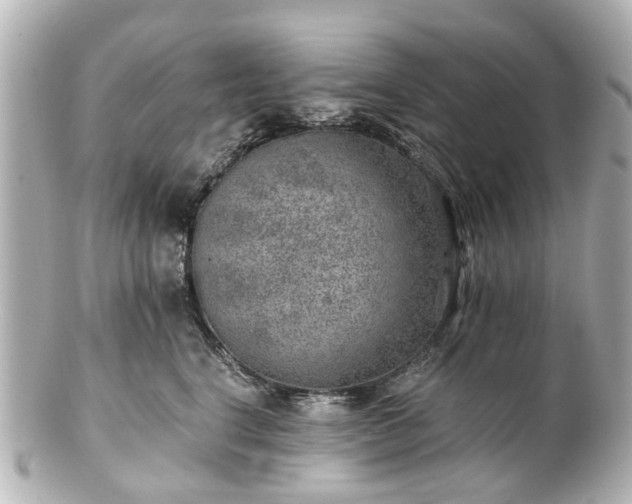 X0000100900664200807011222