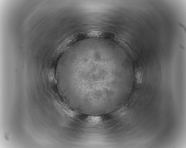 X0000100900665200807011222