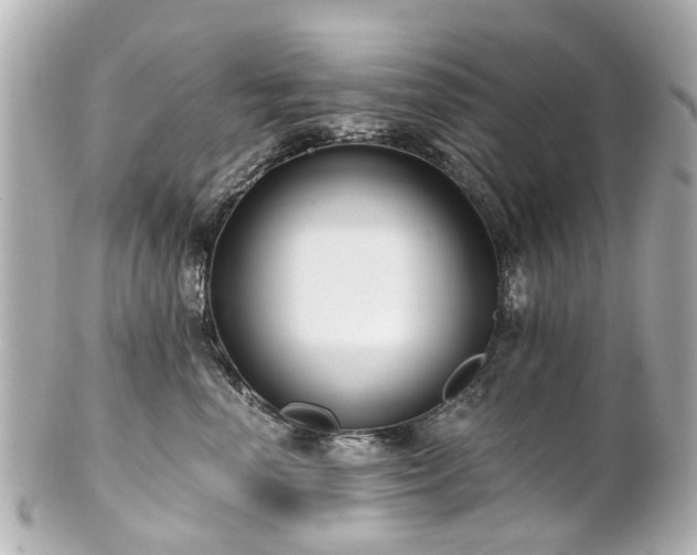 X0000100900666200807011222