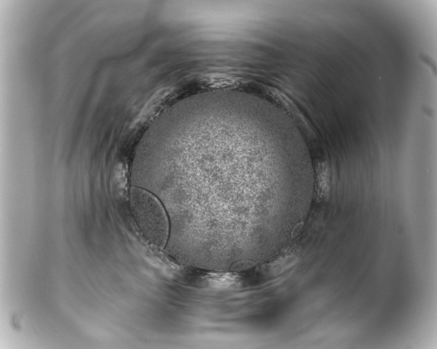 X0000100900667200807011222