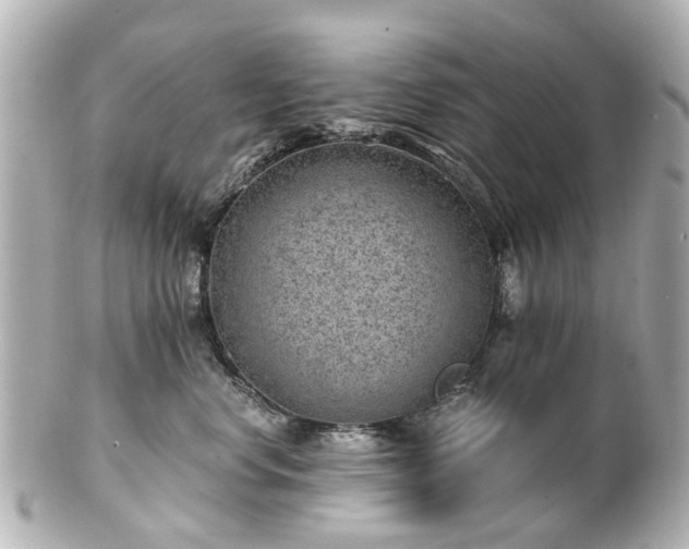 X0000100900668200807011222