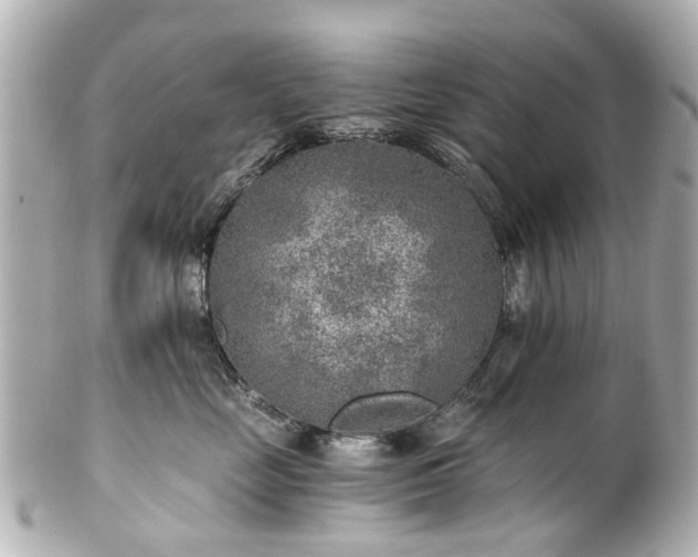 X0000100900669200807011222