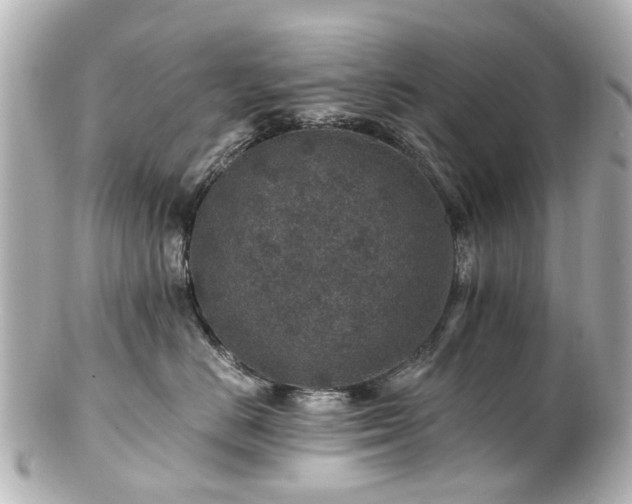 X0000100900670200807011222