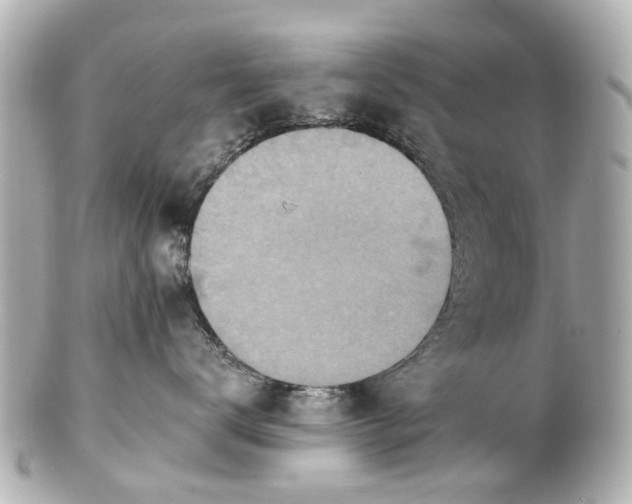 X0000100900672200807011222