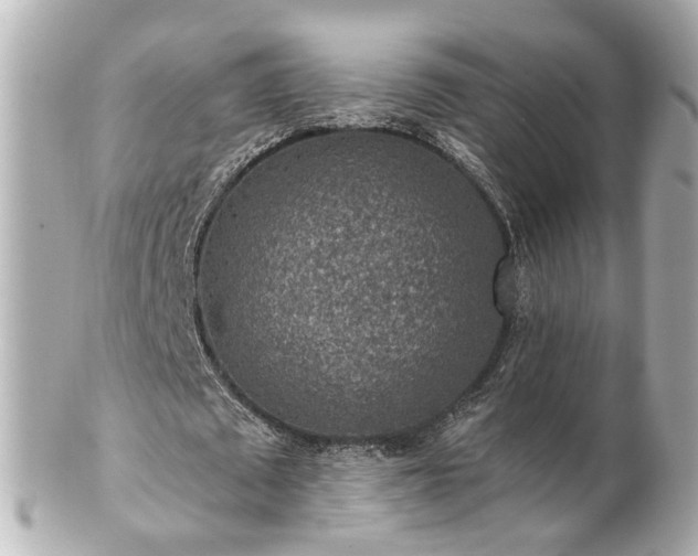 X0000100900673200807011221