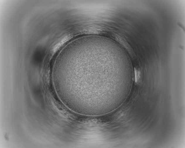 X0000100900675200807011221