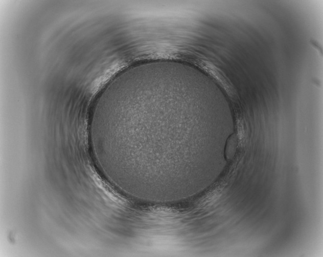 X0000100900677200807011221