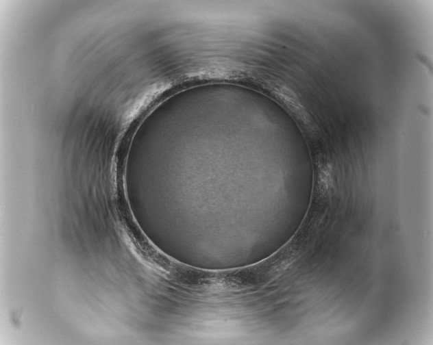 X0000100900678200807011221