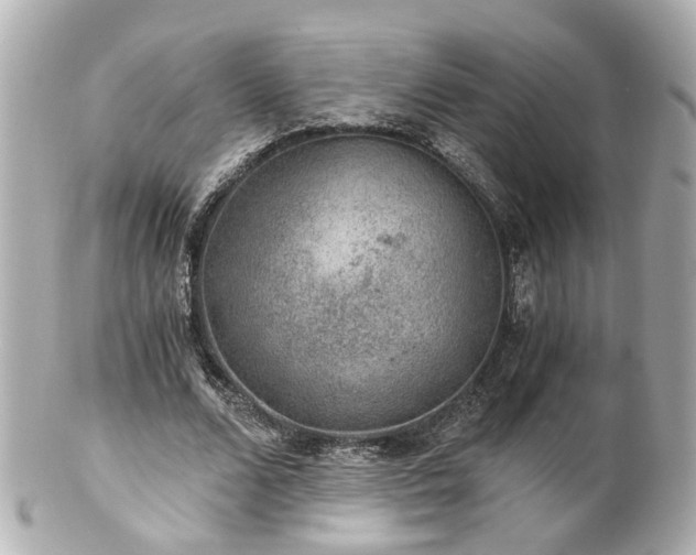 X0000100900680200807011221