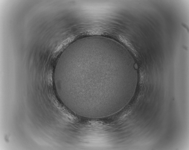 X0000100900681200807011221