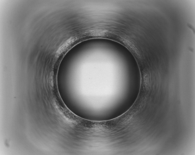 X0000100900682200807011221