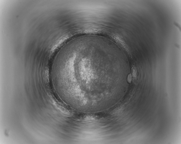 X0000100900684200807011221