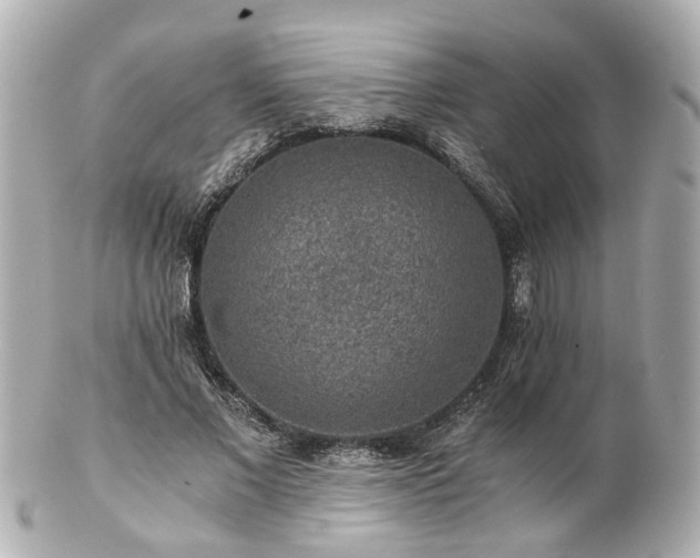 X0000100900685200807011221