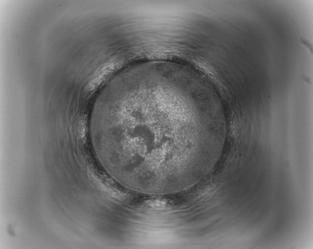 X0000100900687200807011221