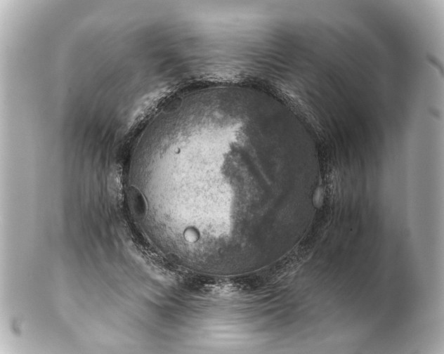 X0000100900688200807011221