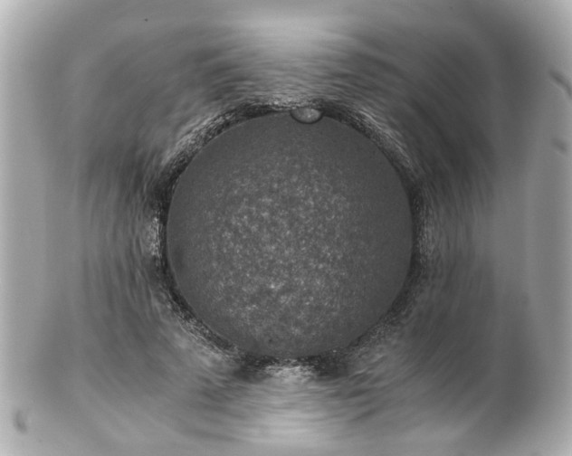 X0000100900689200807011221