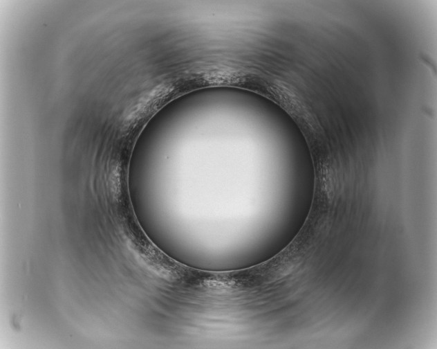 X0000100900690200807011221