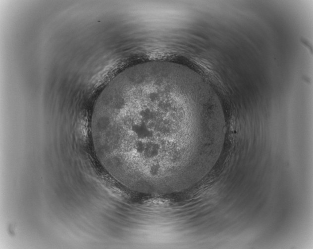 X0000100900691200807011221