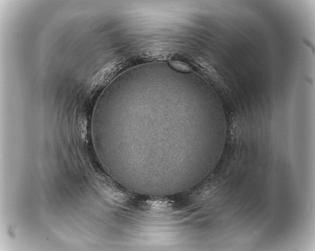 X0000100900693200807011221