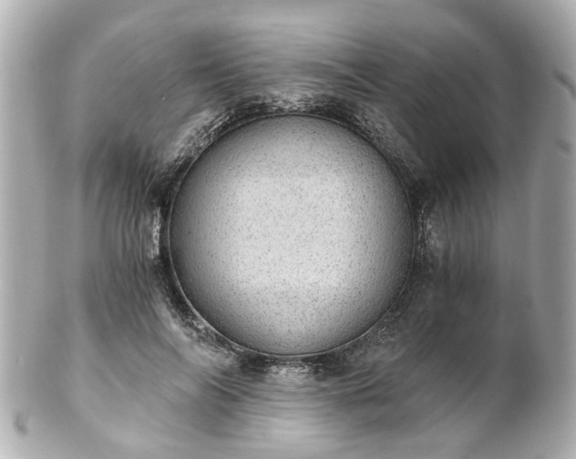 X0000100900694200807011221