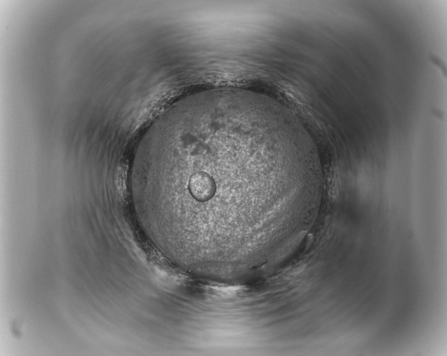 X0000100900695200807011221